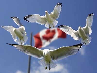 ThiThucDuHocCanada